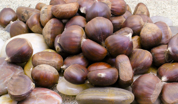 Castagne